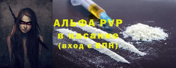 сатива Аркадак