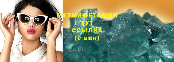 сатива Аркадак