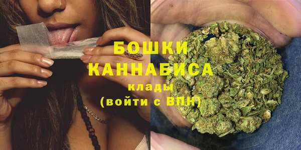 сатива Аркадак