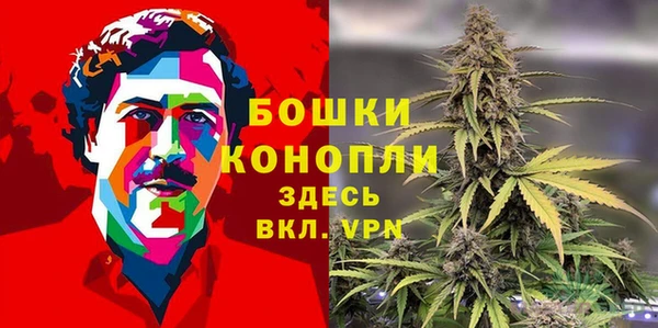 стаф Арсеньев