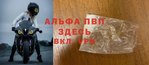 стаф Арсеньев