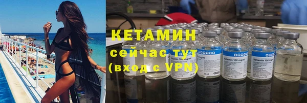 стаф Арсеньев